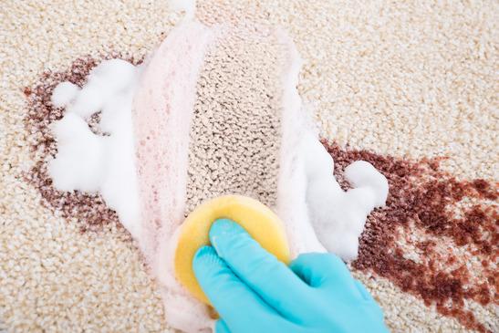 Carpet Stain Removal and What to Look Out For