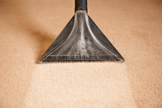 Spotting Mould in Your Carpets